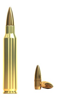 Puškové náboje Sellier & Bellot .223 REM. Training FMJ, 55grs/3,6 g