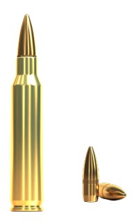 Puškové náboje Sellier & Bellot .223 REM. FMJ, 55grs/3,6 g