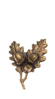 Dubová větvička (odznak na klobouk)