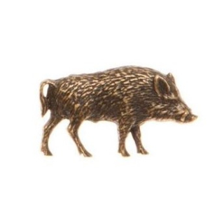 Divočák (odznak na klobouk)